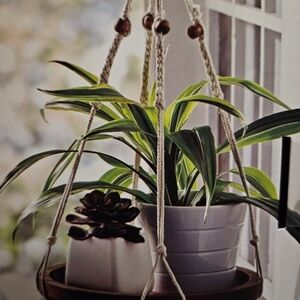 Better Homes And Gardens Plant Table
